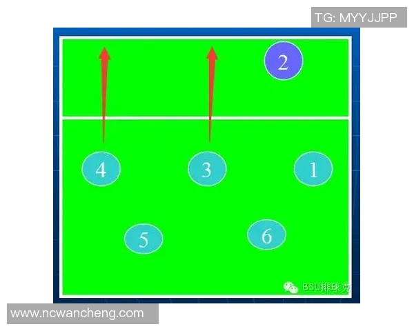 上海排球队的战术变革与球员转型深度解析