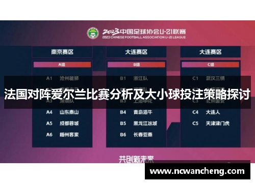 法国对阵爱尔兰比赛分析及大小球投注策略探讨